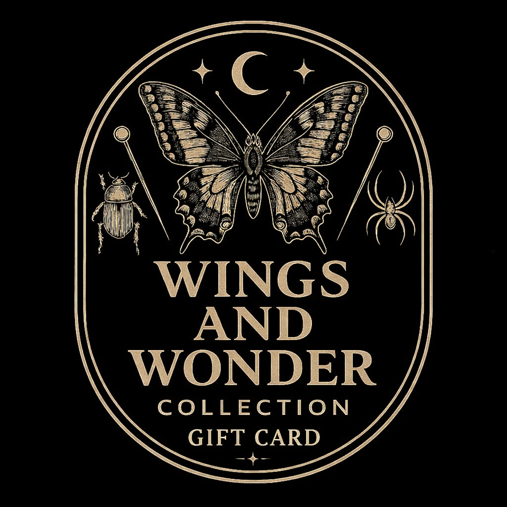 Wings and Wonder Collection Gift Card
