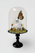 Butterfly perched on a crystal inside a glass dome on a black stand against a white background