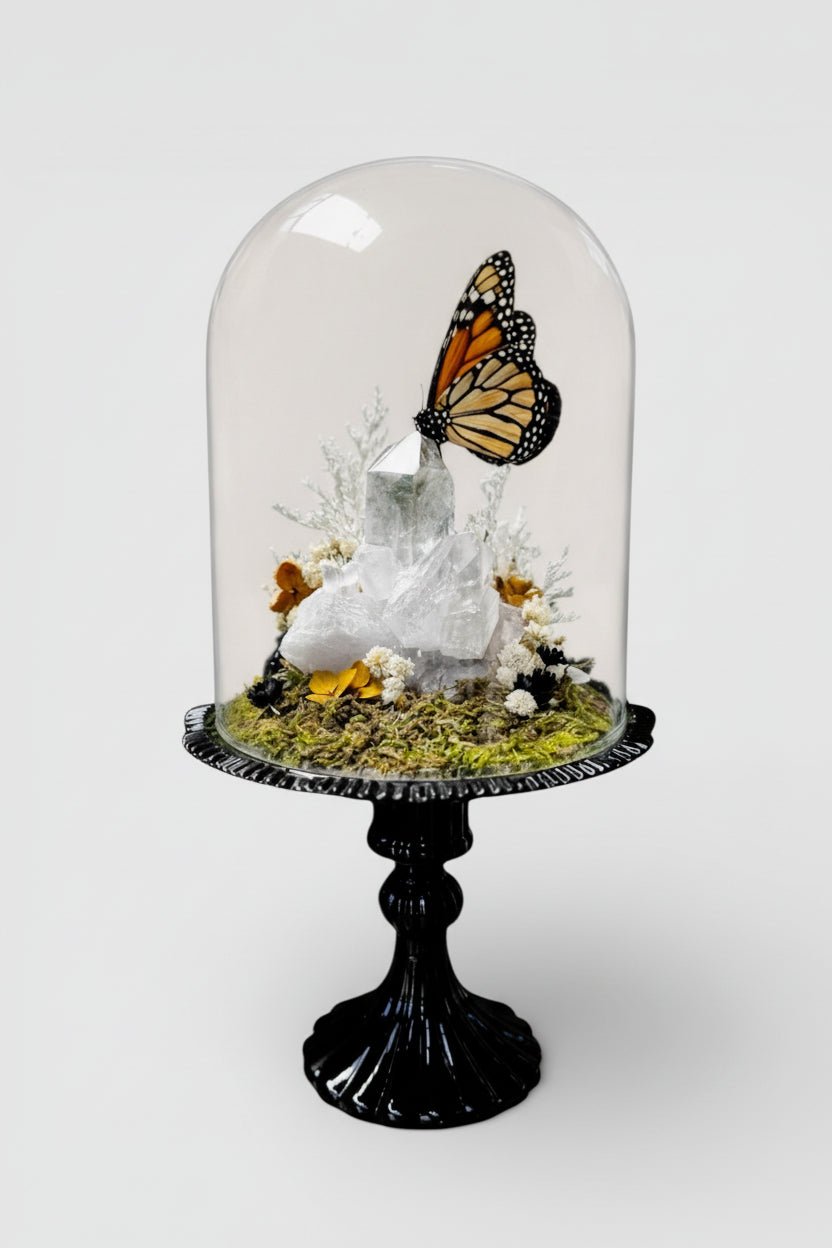 Butterfly perched on a crystal inside a glass dome on a black stand against a white background